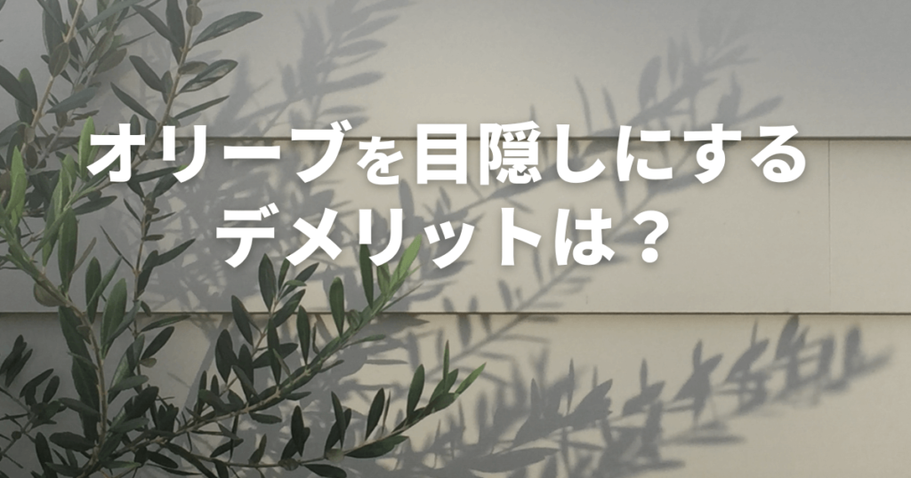 オリーブを目隠しにするデメリットは？