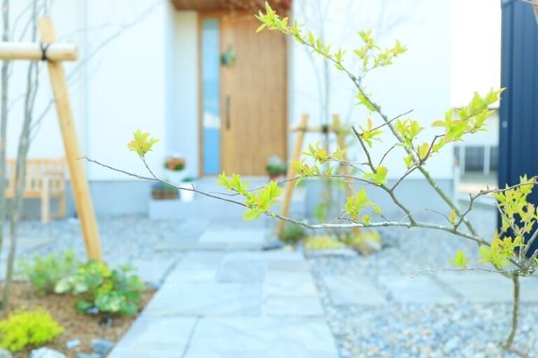 シンボルツリーで虫がつかないのはどれ？手入れが不要で外構のアクセントになる植栽 - …