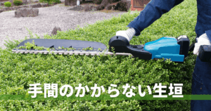 手間のかからない生垣