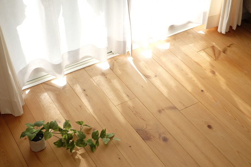 カーポートをリビング前に設置する際の日当たりの影響