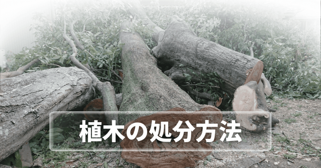 植木の処分方法を解説!安く済ませるコツと注意点まとめ