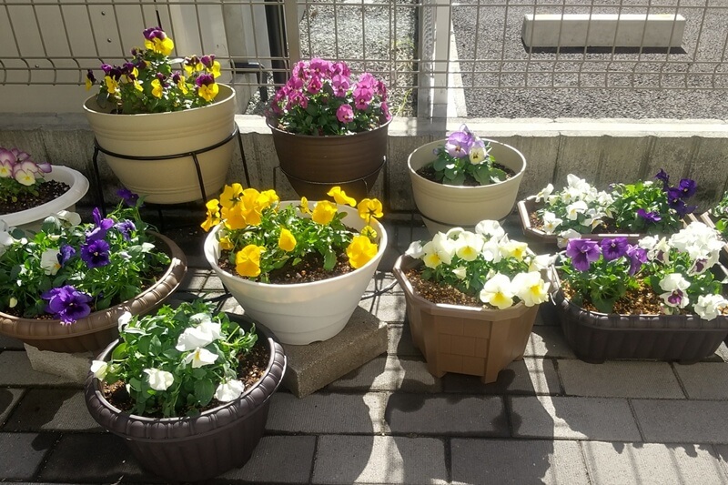 それでもインターロッキングを選ぶメリット