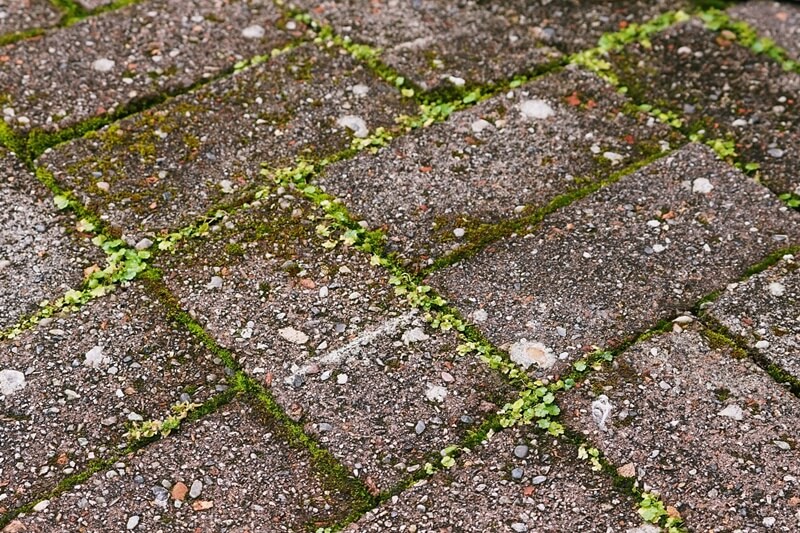 インターロッキングで後悔する理由とは？