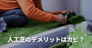人工芝のデメリットはカビ？後悔しないための対策や原因を徹底解説